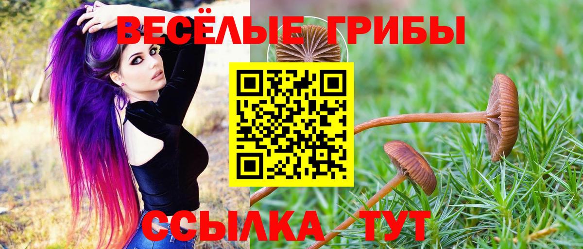 Галлюциногенные грибы Cubensis  Вход с VPN  Курганинск  Галлюциногенные грибы Psilocybe 