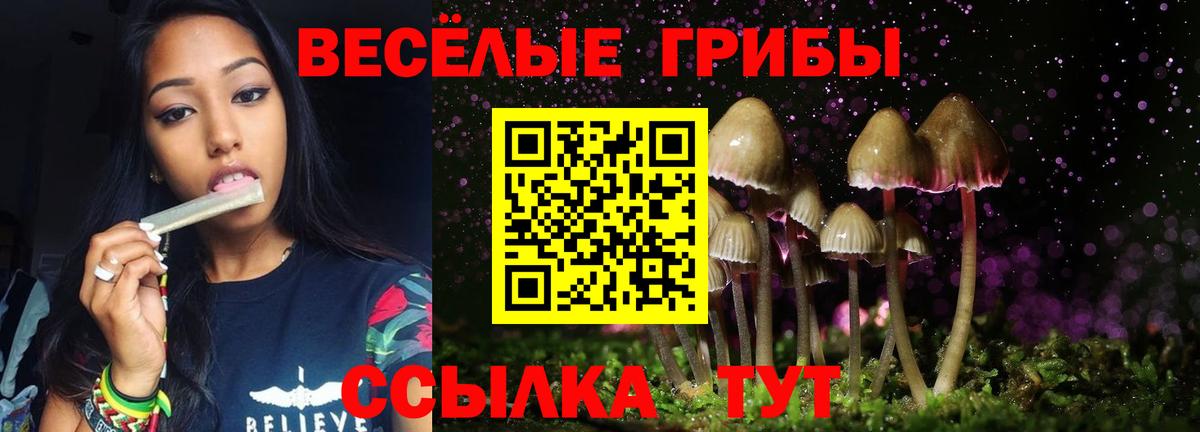 Псилоцибиновые грибы MAGIC MUSHROOMS Курганинск